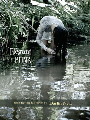 cover image of Elegant Punk